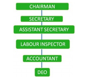 Organisational Chart